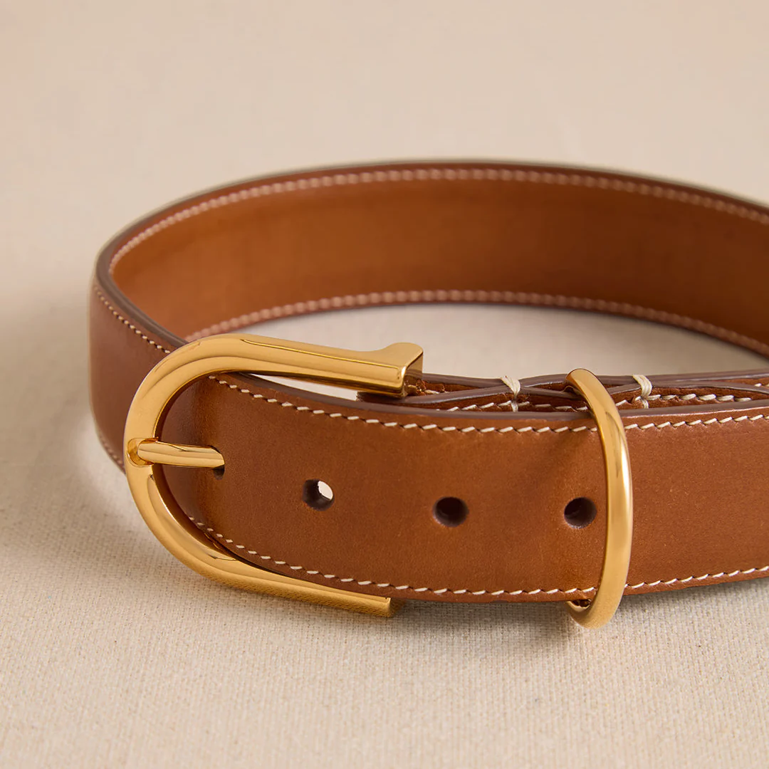 Pet Collar 30 in Luggage - Image 2